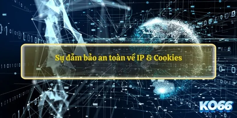 Sự đảm bảo an toàn về IP & Cookies